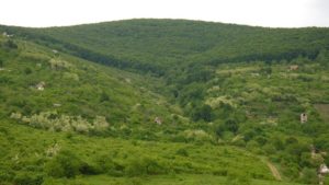 Chorna_Hora_(Wynohradiw)